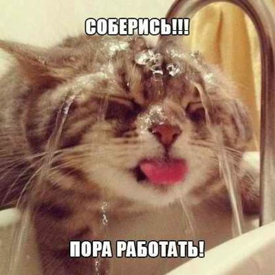 Федя Мирзаев