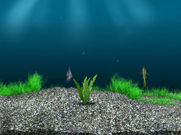 Ирина Иванова