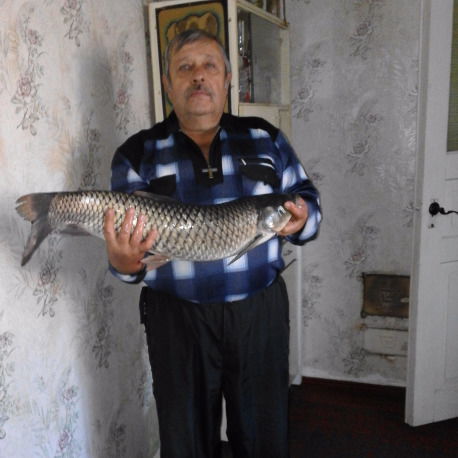 Василь Жежер