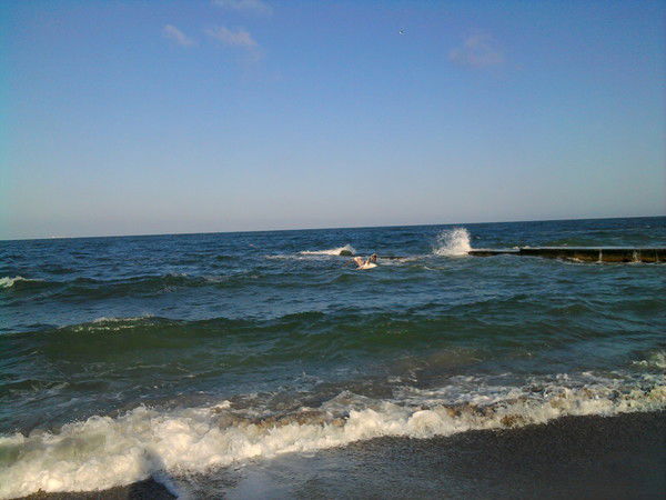 Елена Шилина