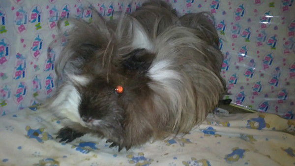 Евгения Кузняк