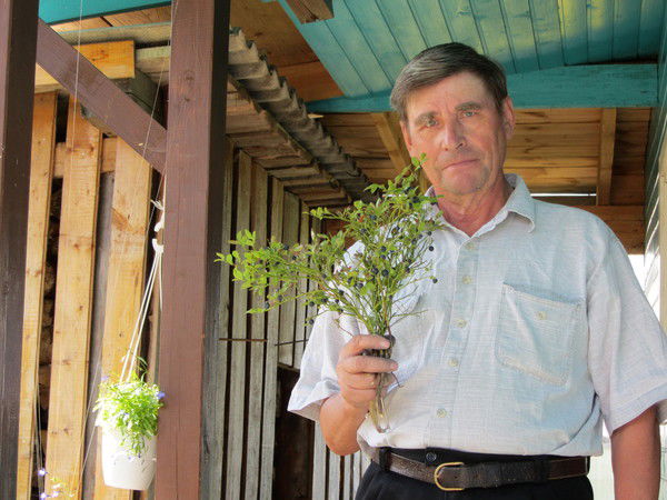 Анатолий Опалихин