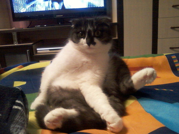 Марина Душина