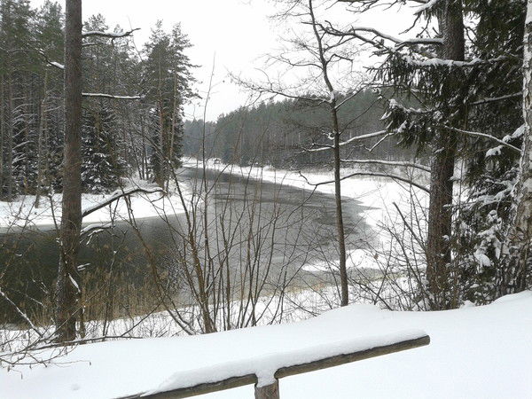 Сергей Мороз