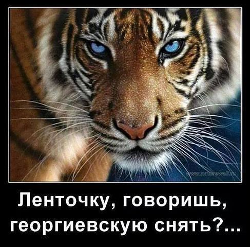 Павел Романов