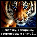 Павел Романов