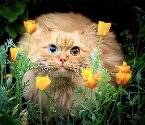 Татьяна Алексеева