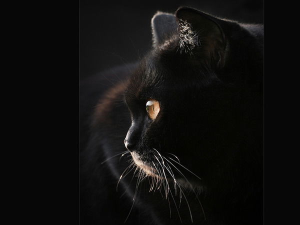 Анастасия Зверева