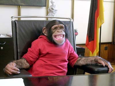 Андрей Залужный