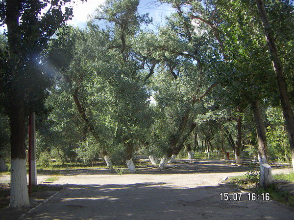 Неизвестно Неизвестно