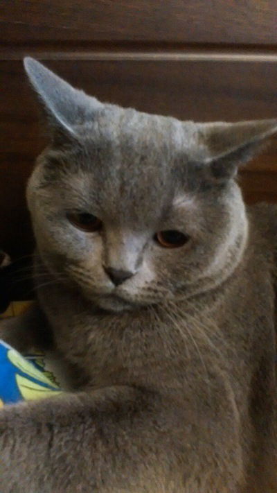 Костя Зацепин