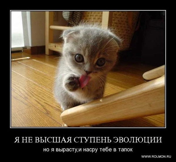 Петров Павел