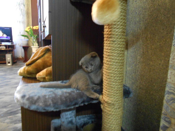 Наталья Елисевна