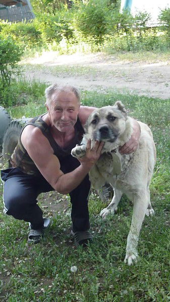 Александор Линченко