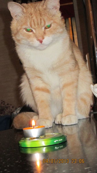 Ольга Мингалёва