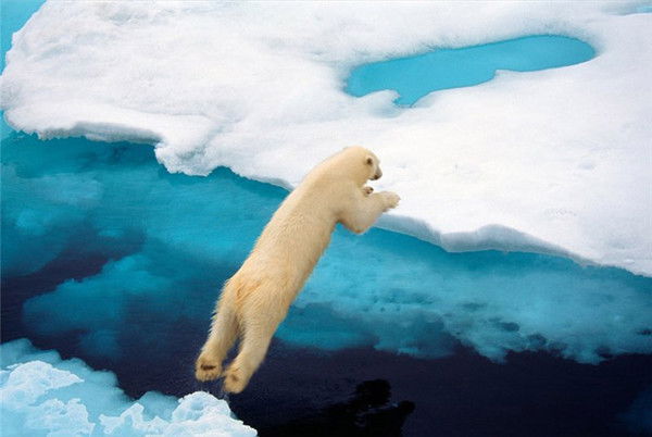 Айсберг Гай-Гипермаркет