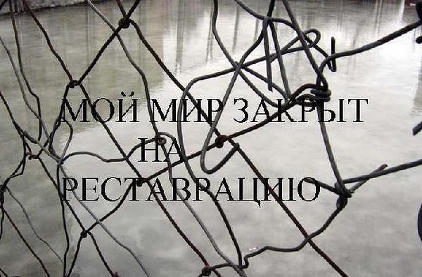 Елена Полякова