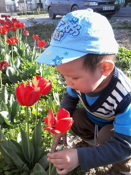 Нурбек Жарылкапов