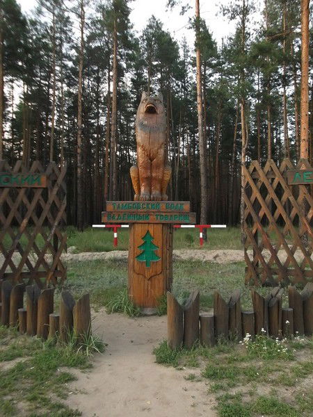 Артем Плаксин