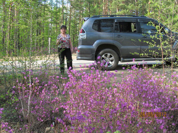 Наталья Зарубина