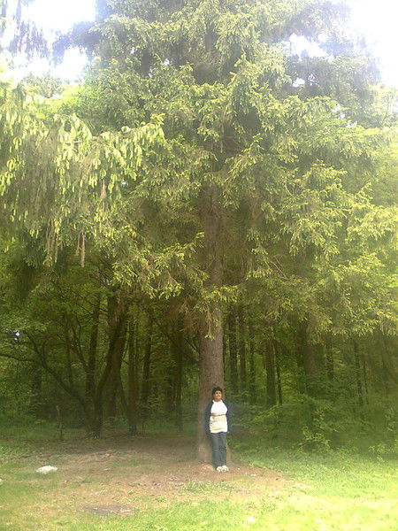 Дилобар Мавлянова