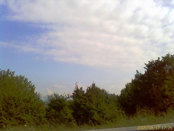 Михаил Павлов