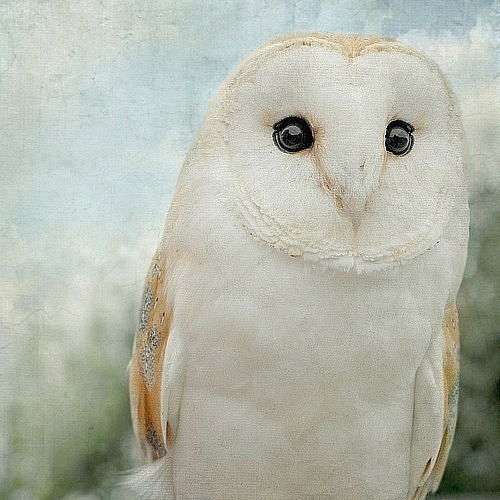 Любовь Белоглазова