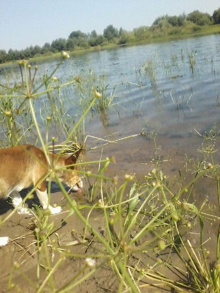 Евгения Храменкова