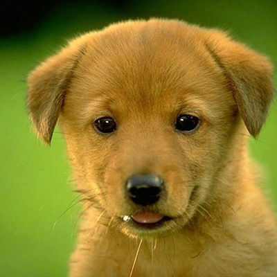 Колян Бутяев