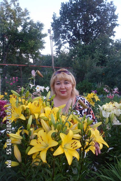 Света Павлова