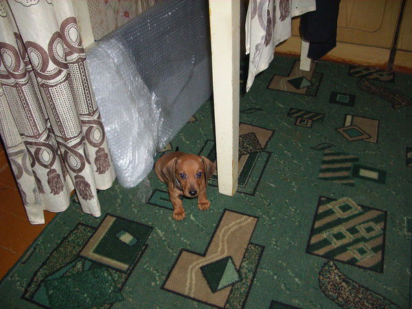 Вадим Урюпин