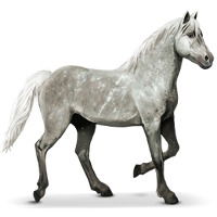 Евгений Дорохов