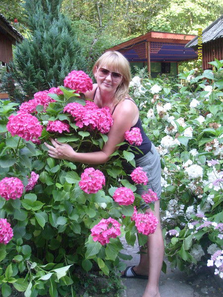 Елена Каширина