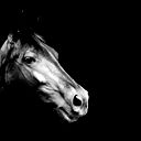 Андрей Киселев