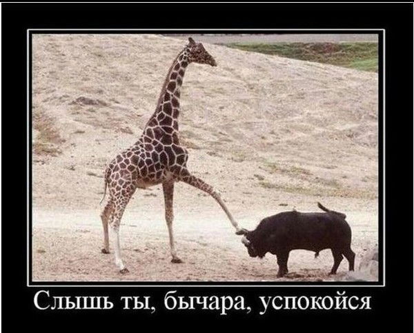 Рустем Бабажанов