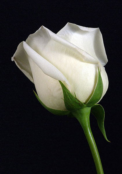 Маржангул Окей