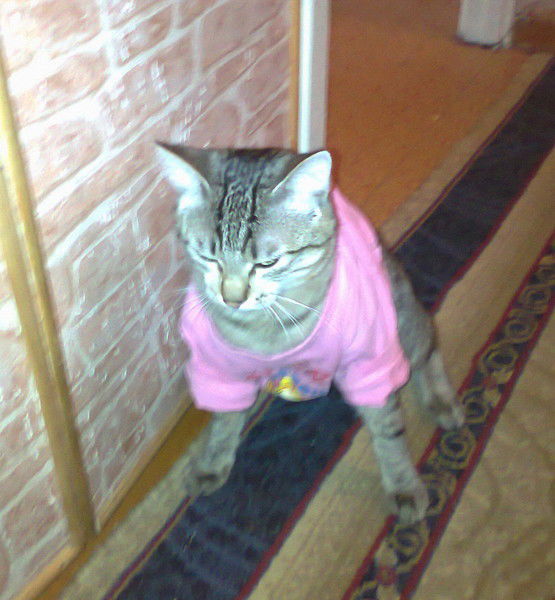 Мариша Купцова