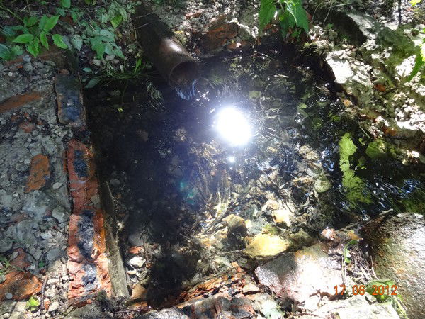 Кучкина Светлана