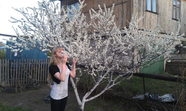 Евгения Гареева