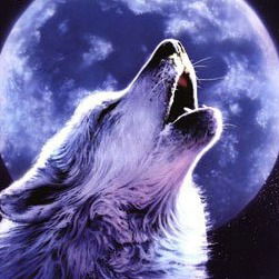 Раис Лукманов