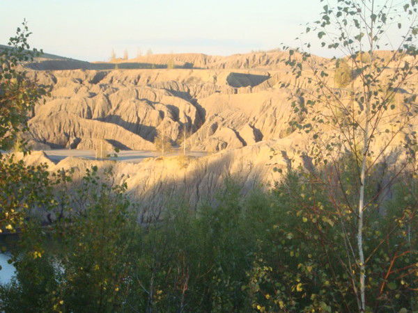 Елена Самусёва