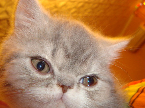 Наталия Глибина