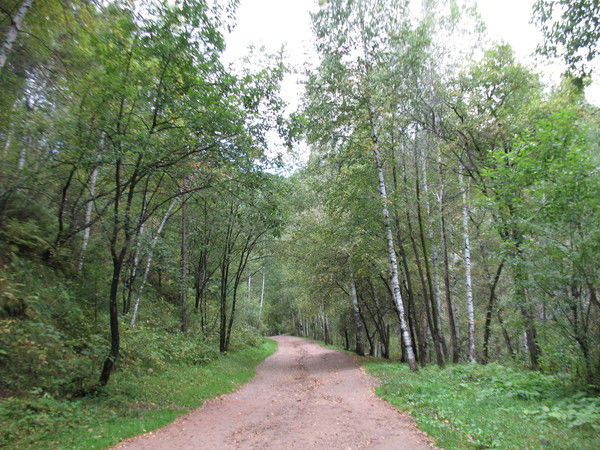 Владимир Ватолин