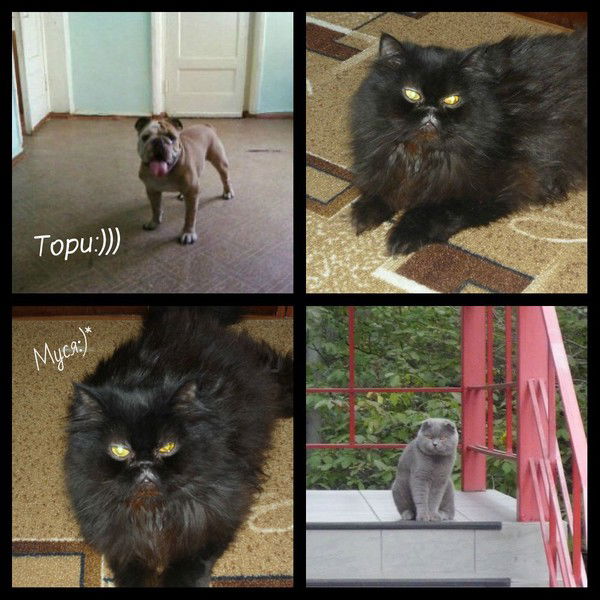 Алевтина Климутина