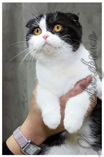 Татьяна Камалова