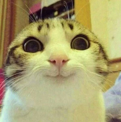 Константин Петухов