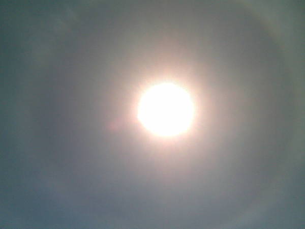 Виктория Гамзаева (Донец)