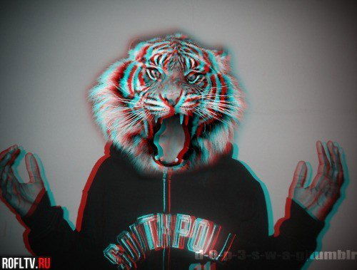 Витя Занько