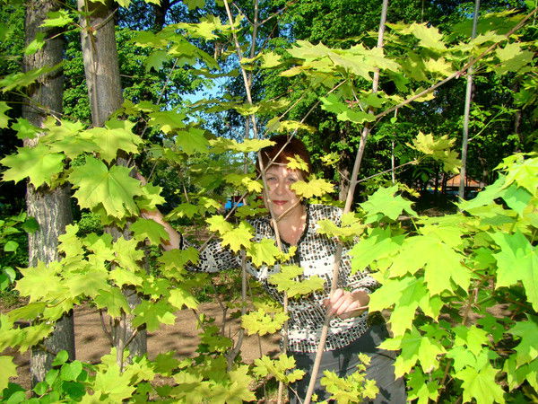 Наталья Андреева