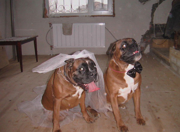 Олеся Беркович